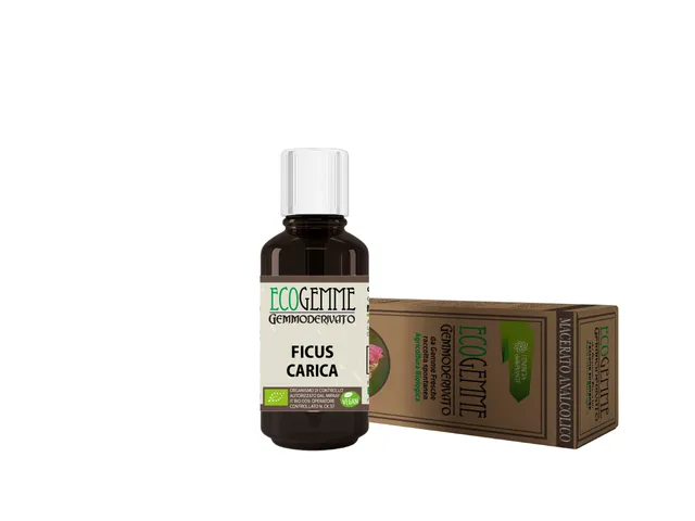 L'energia delle piante Ecogemme Ficus Carica gocce colon 50 ml