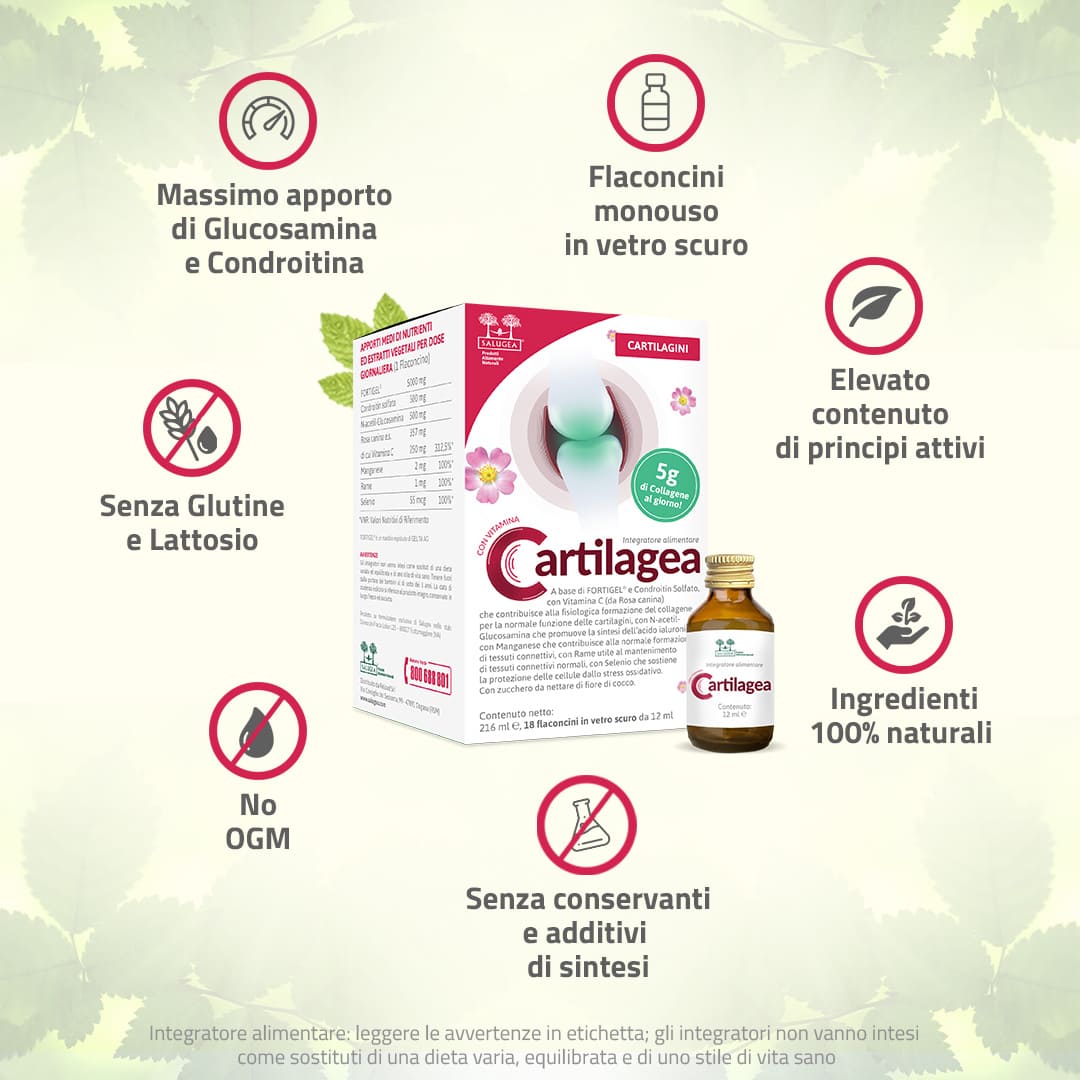Salugea Cartilagea integratore liquido 1 confezione cartilagini