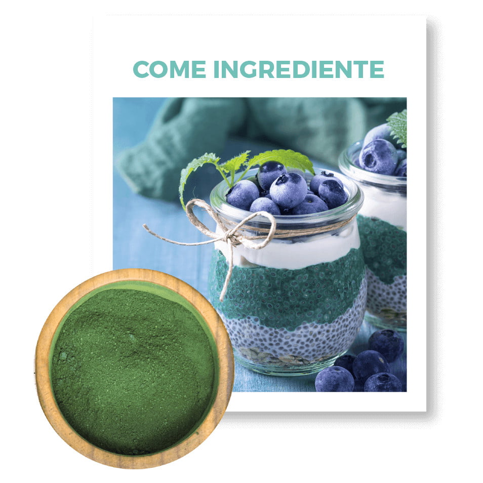 Spireat Percorsi Spirulina Kit scaglie polvere snack energia
