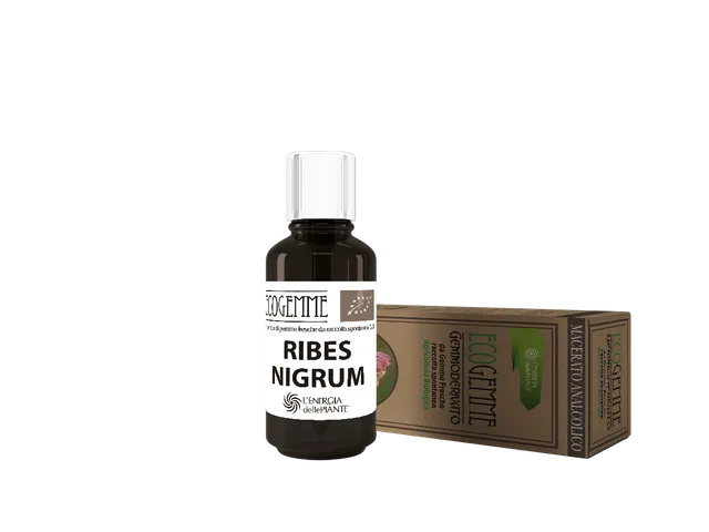 L'energia delle piante Ecogemme Bio Ribes Nigrum gocce bio