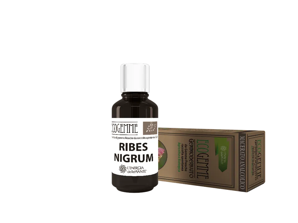 L'energia delle piante Ecogemme Bio Ribes Nigrum gocce bio