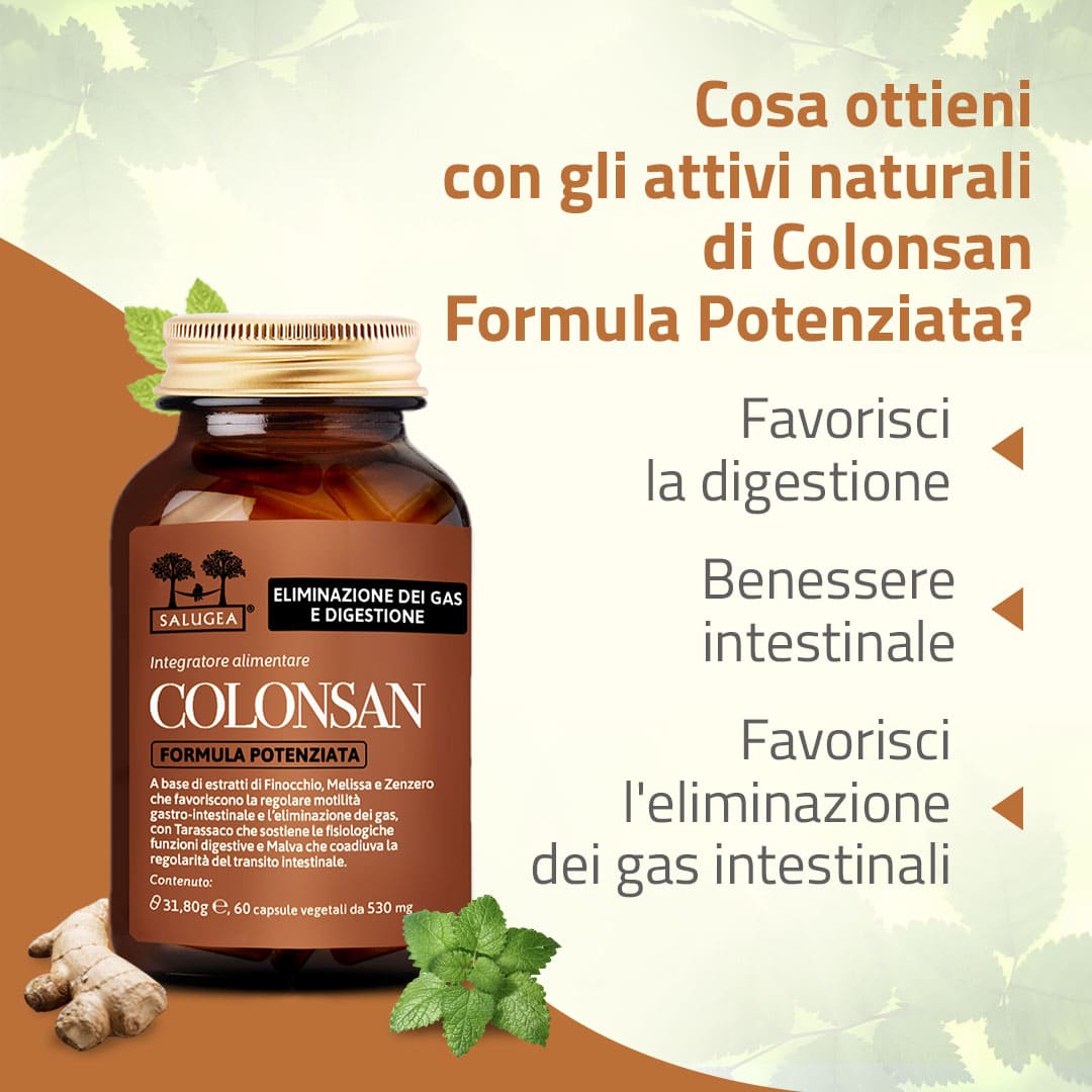 Salugea Percorsi Benessere Aria Stop integratore gas 1 mese