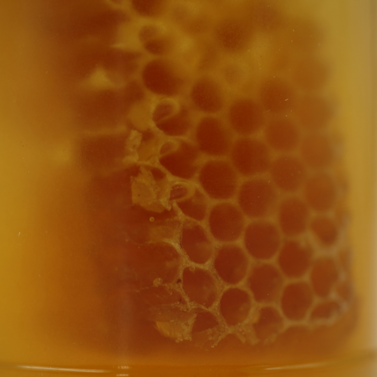 Teo Natura Miele Biologico Millefiori con Favo 375g