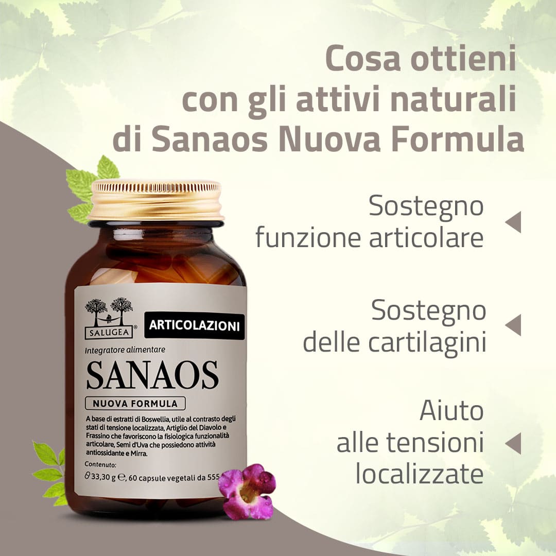 Salugea Cartilagini Tendini Legamenti integratori 3 mesi EPA