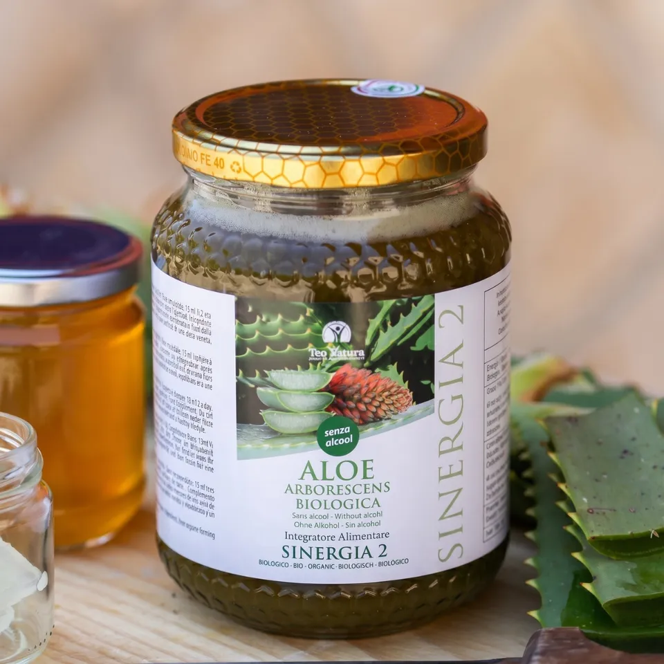 Teo Natura Aloe Padre Zago Sinergia 2 succo 750ml miele