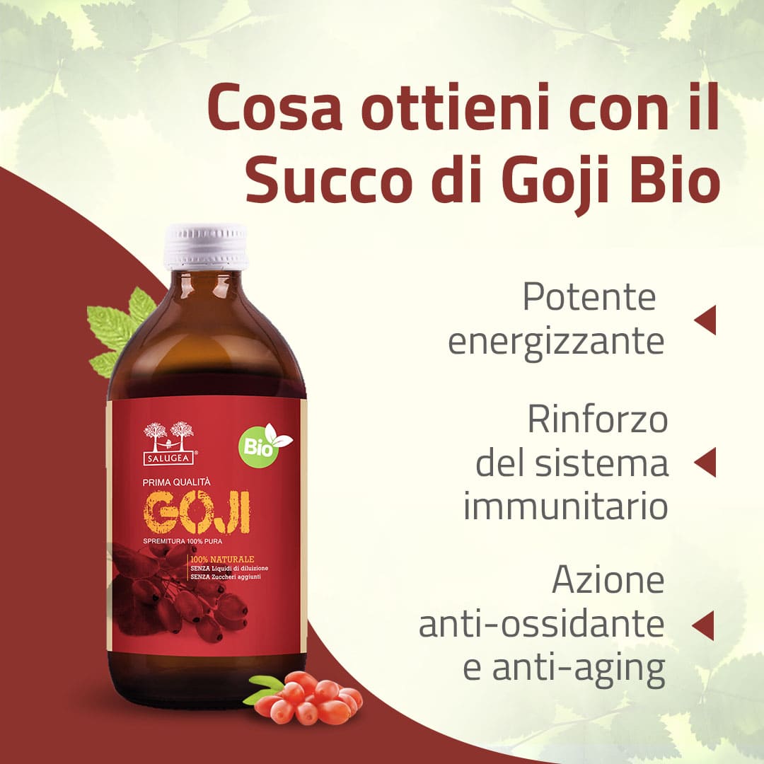 Salugea Succo di Goji Bio Succo 1 Flacone Antiossidante