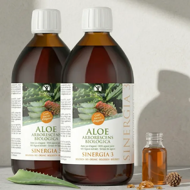 Teo Natura Aloe Padre Zago Sinergia 3 Succo Bio 2x500ml