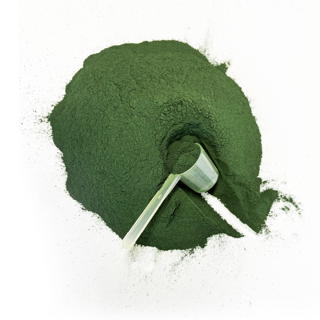Spireat Spirulina Italiana Biologica polvere 50 g pura