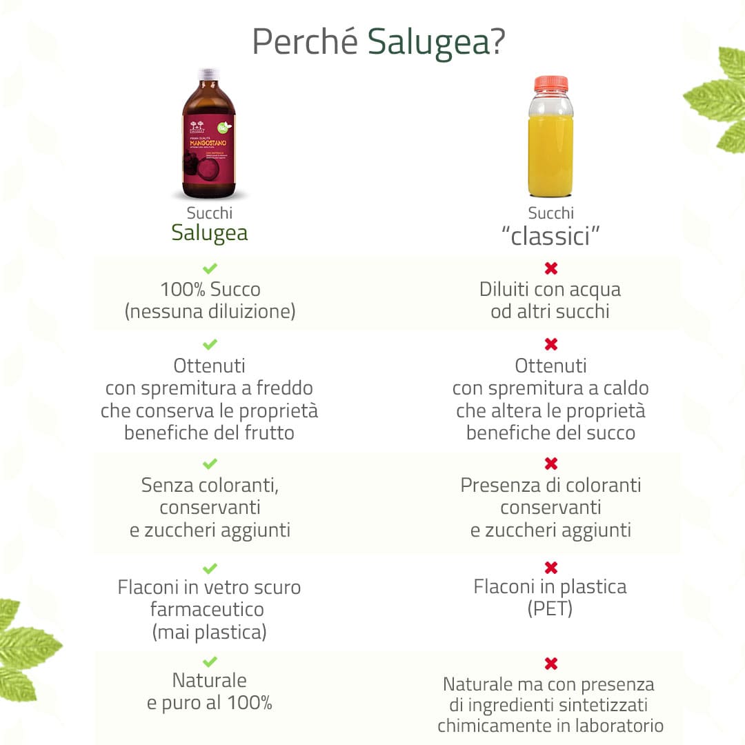 Salugea Succo di Mangostano Bio succo 1 flacone antiossidante