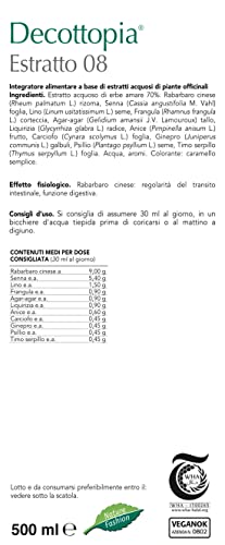 Gianluca Mech Decottopia Estratto 08 Regolatore 500 ml