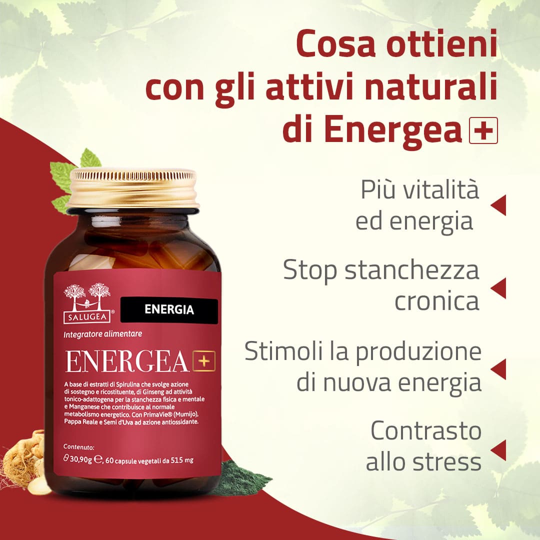 Salugea Percorso Memoria e Concentrazione kit 1 mese