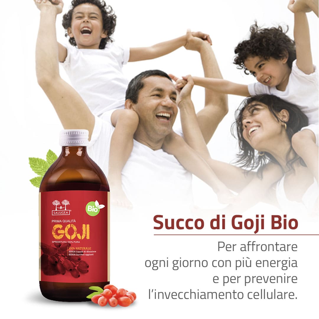 Salugea Succo di Goji Bio Succo 1 Flacone Antiossidante