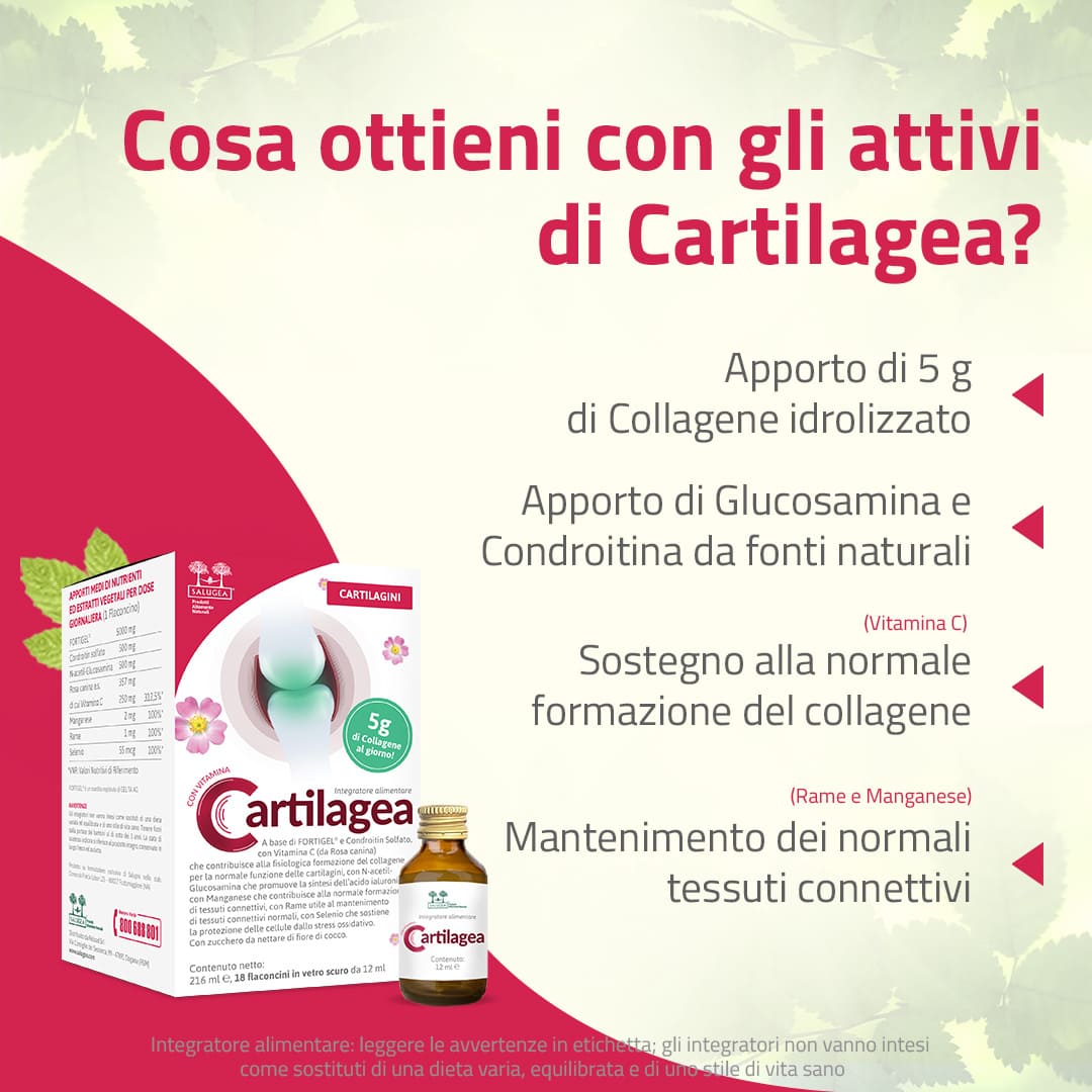 Salugea Cartilagea integratore liquido 1 confezione cartilagini