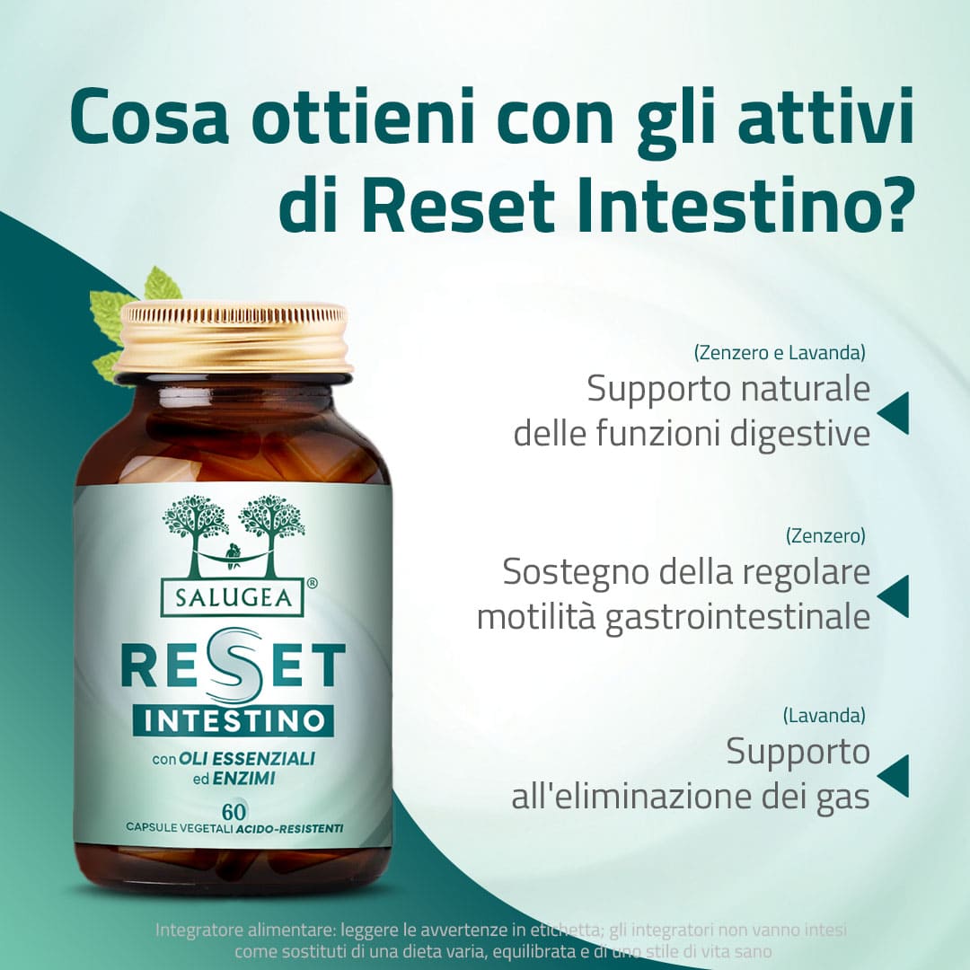 Salugea Reset Intestino integratore detox 1 confezione