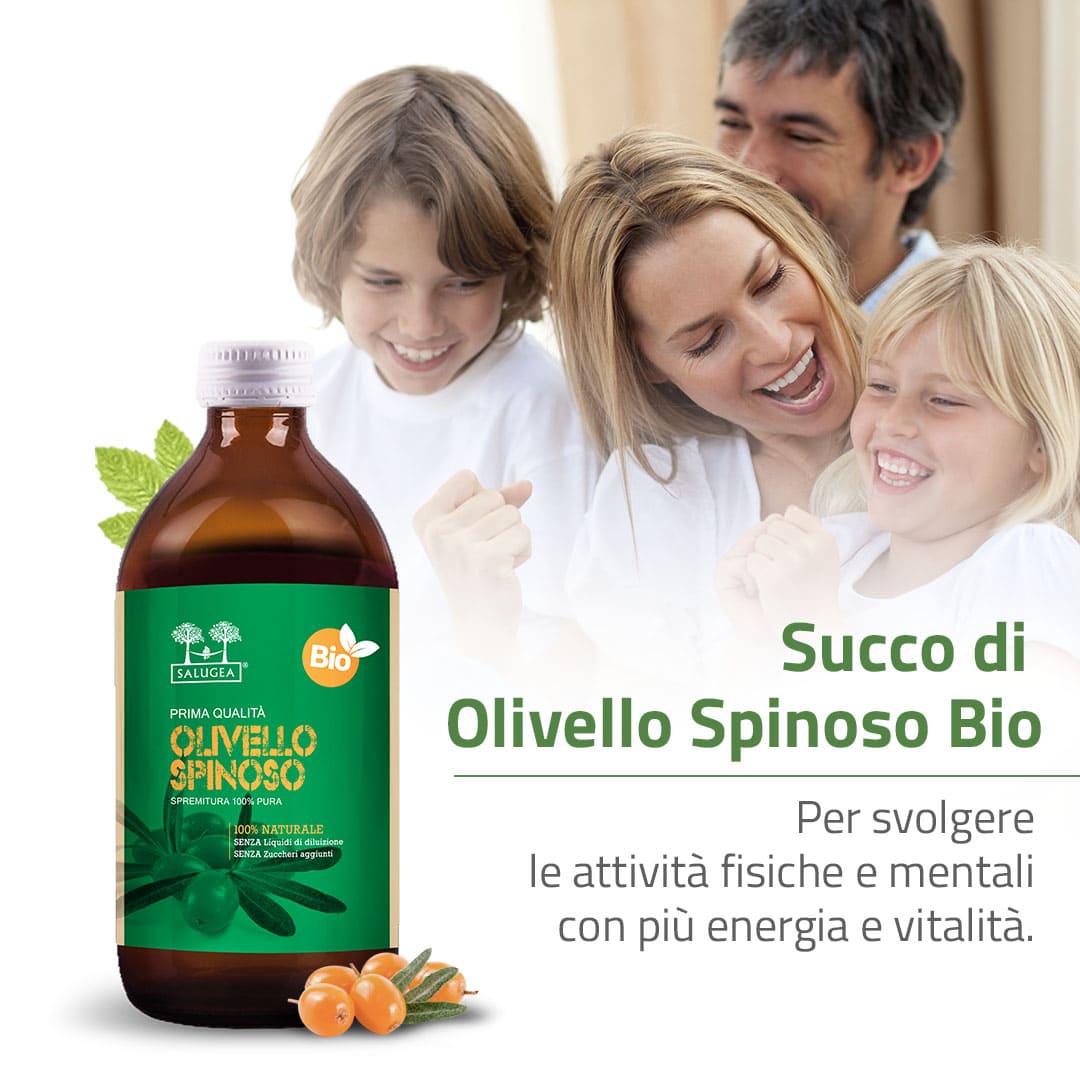 Salugea Succhi Biologici Olivello Spinoso Bio succo 1 flacone energia