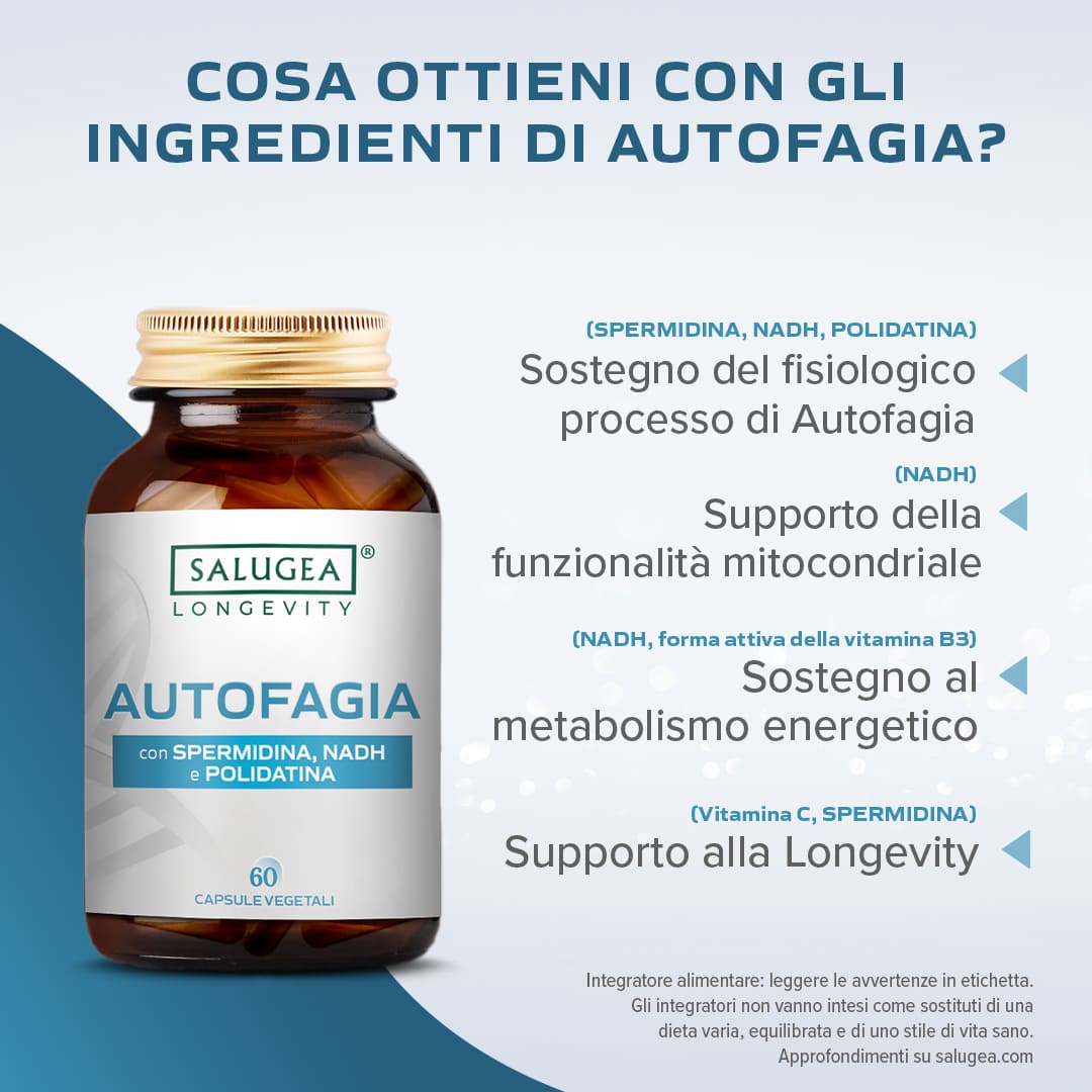 Salugea Autofagia integratore spermidina 1 confezione longevità