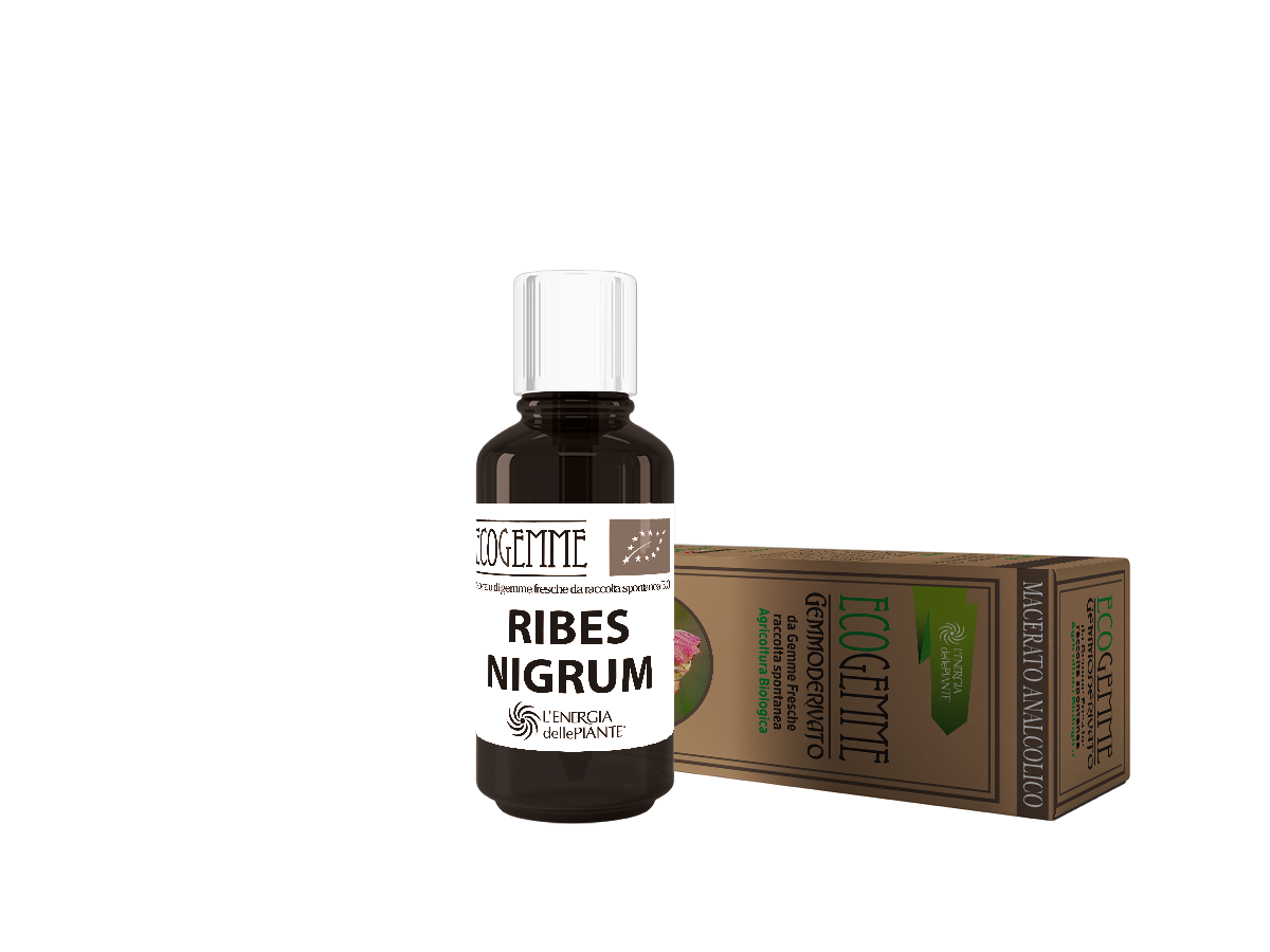 L'energia delle piante Ecogemme Bio Ribes Nigrum gocce bio