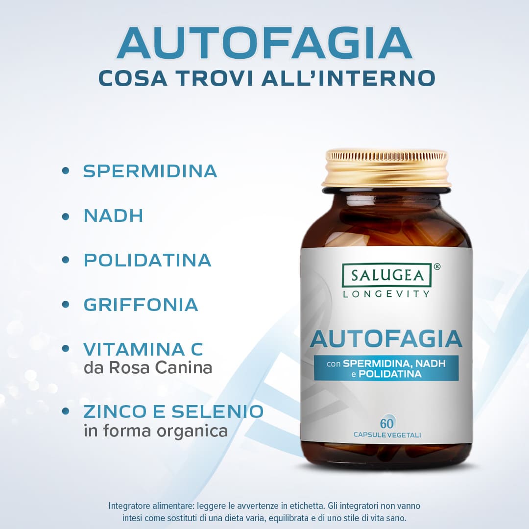 Salugea Autofagia integratore spermidina 1 confezione longevità
