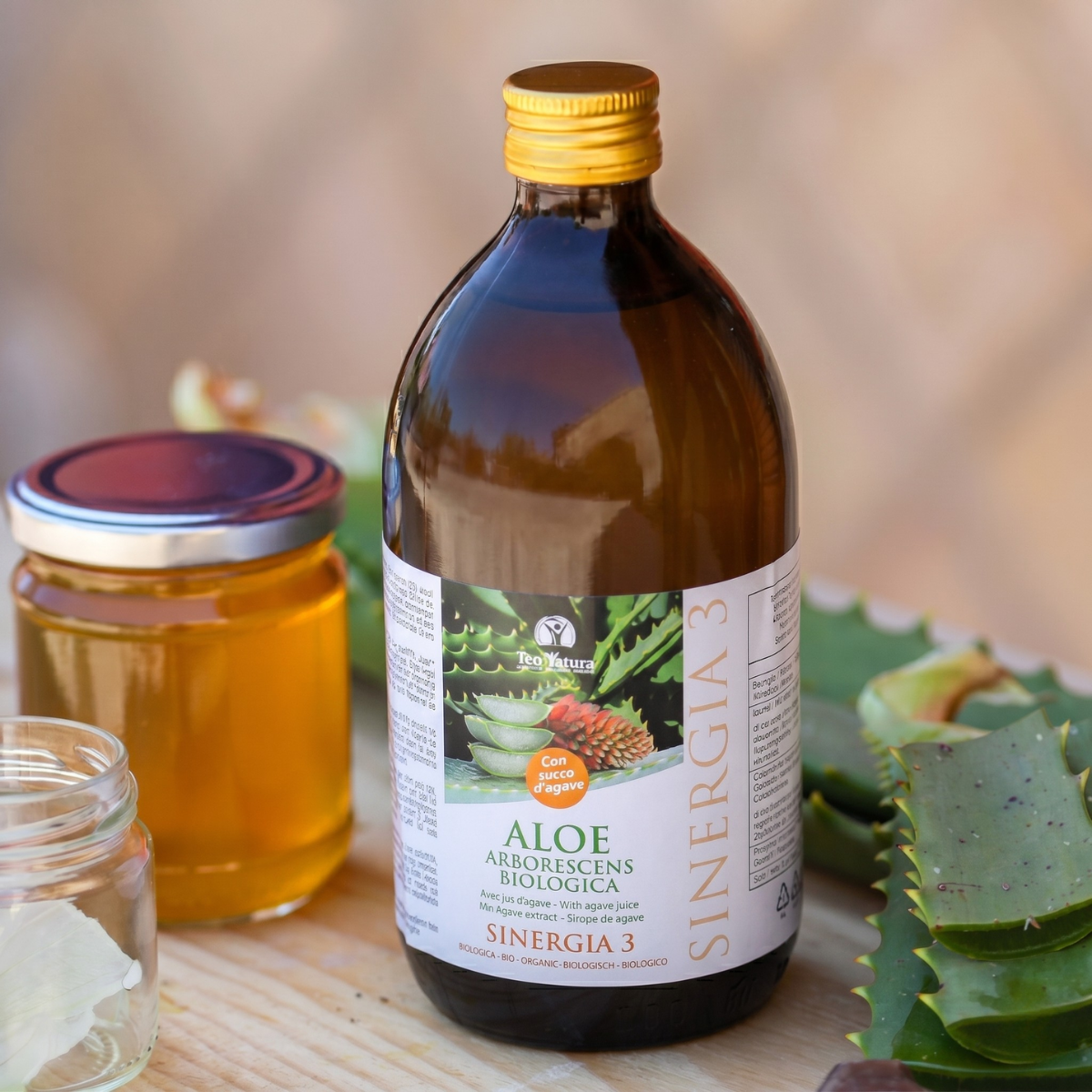 Teo Natura Aloe Padre Zago Sinergia 3 Succo 500ml agave