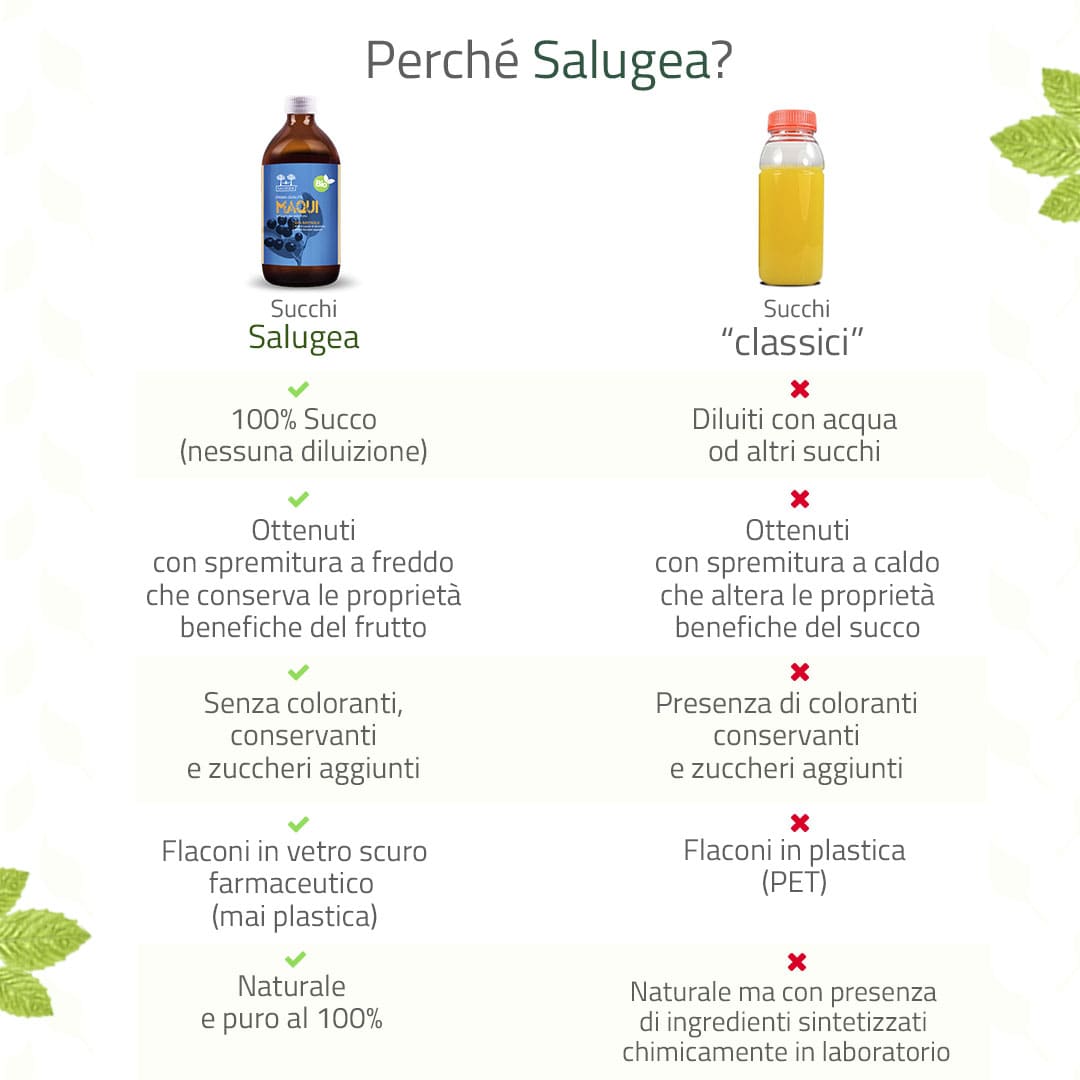 Salugea Succo di Maqui Bio succo 1 flacone antiossidante