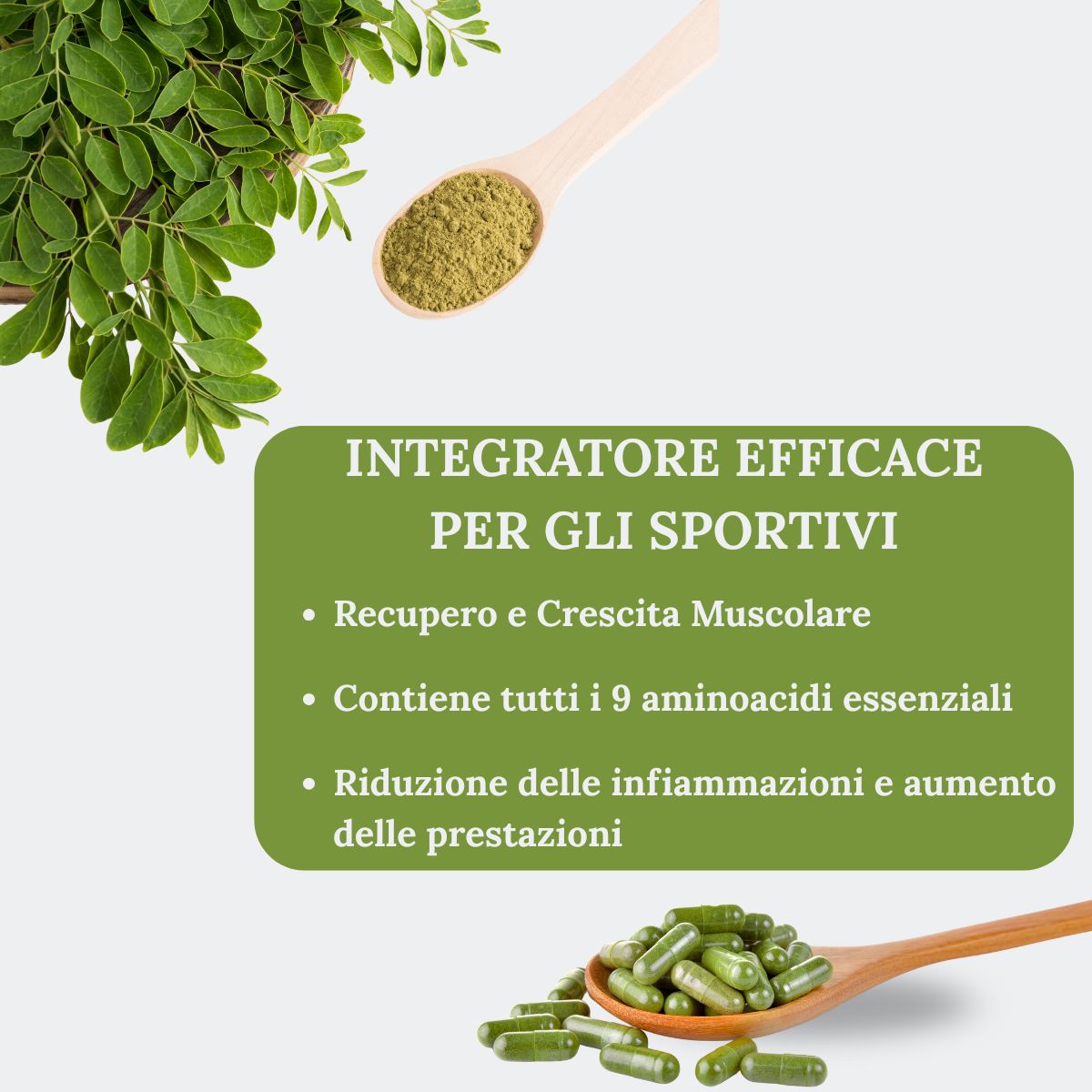 Teo Natura Moringa Oleifera Bio capsule 50 capsule con ferro