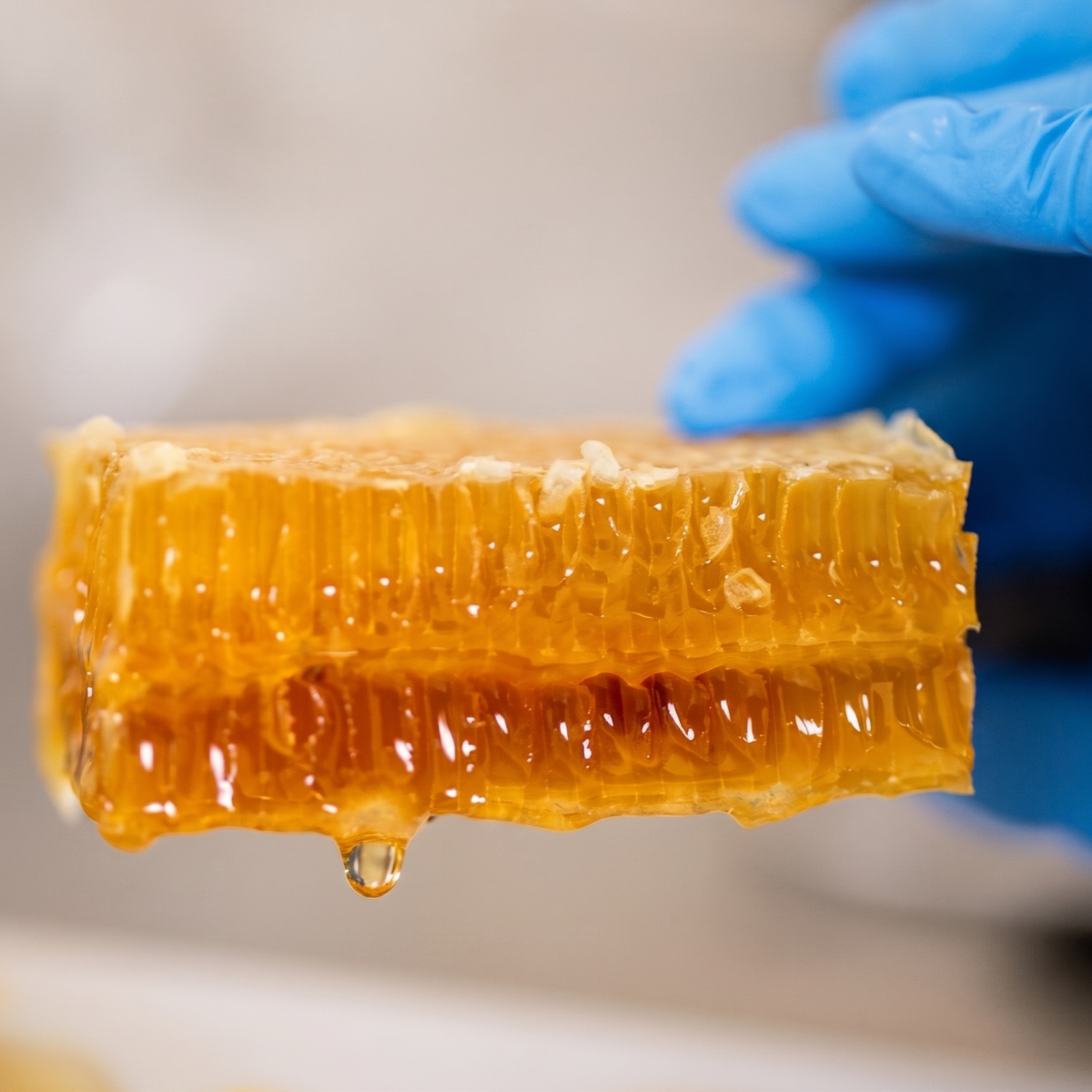 Teo Natura Miele Biologico millefiori in favo 200 g