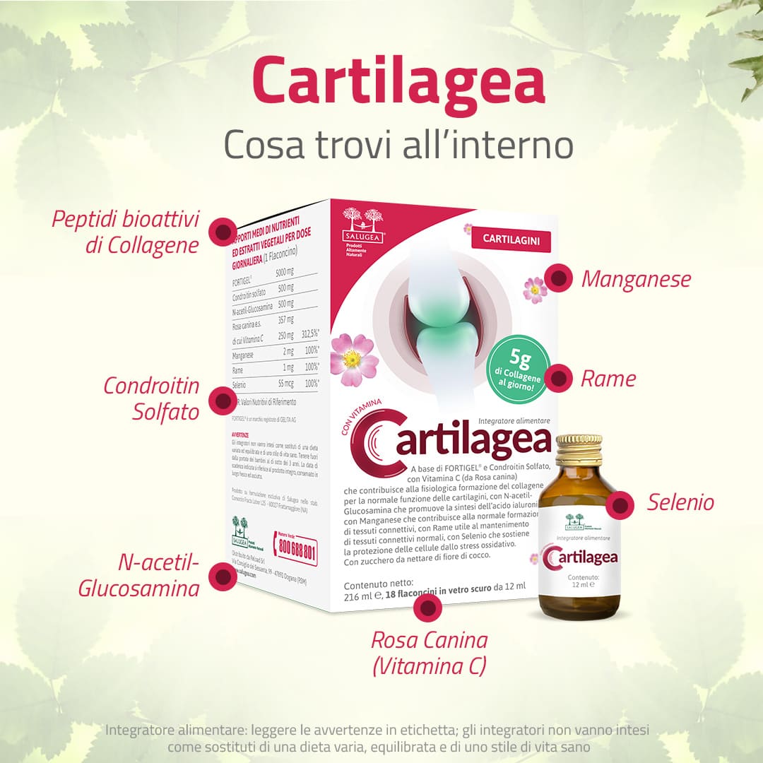 Salugea Cartilagea integratore liquido 1 confezione cartilagini