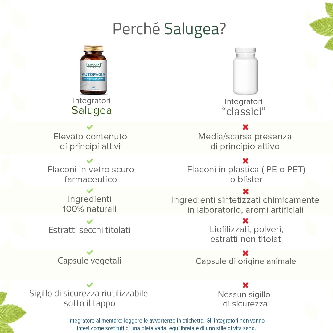 Salugea Autofagia integratore spermidina 1 confezione longevità