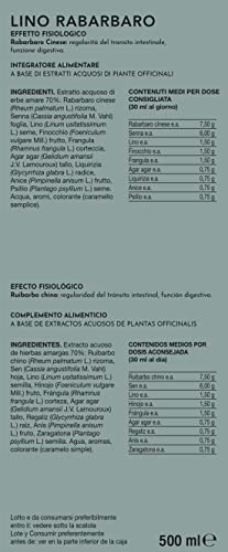 Gianluca Mech Decottopia Lino Rabarbaro sciroppo 500 ml