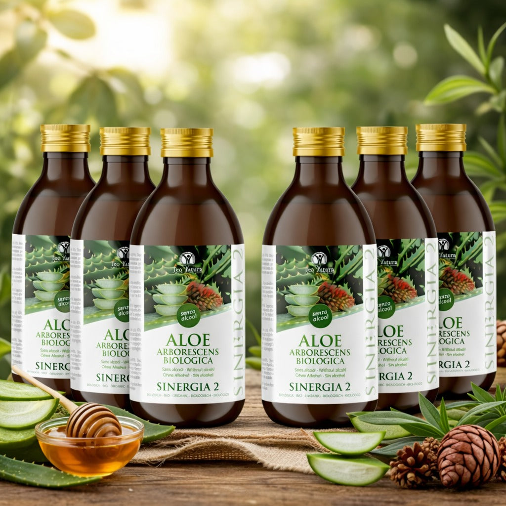 Teo Natura Aloe Padre Zago Sinergia 2 Pack 5+1 Bio