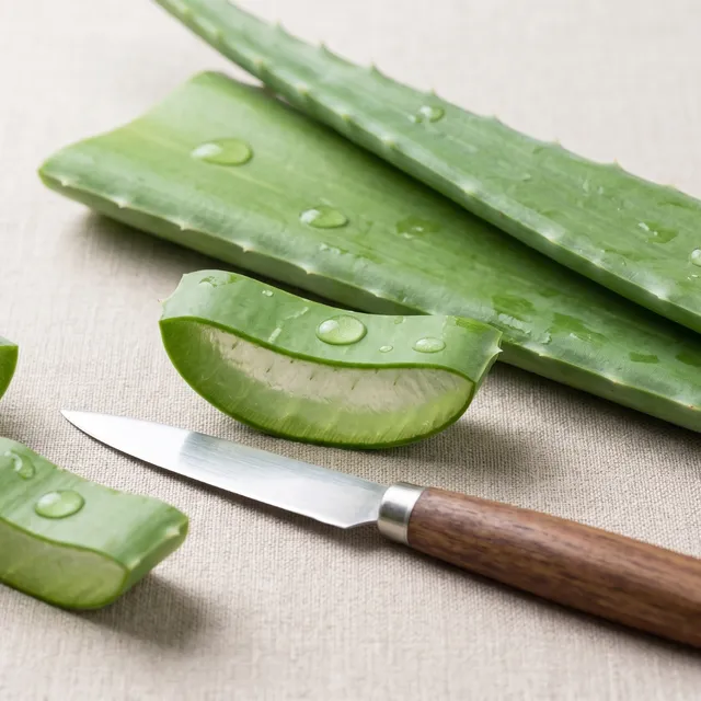 Teo Natura Piante e Foglie Foglie Aloe Vera Bio 1 Kg