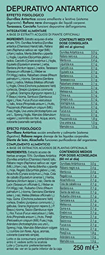 Gianluca Mech Decottopia Depurativo Antartico integratore 250 ml