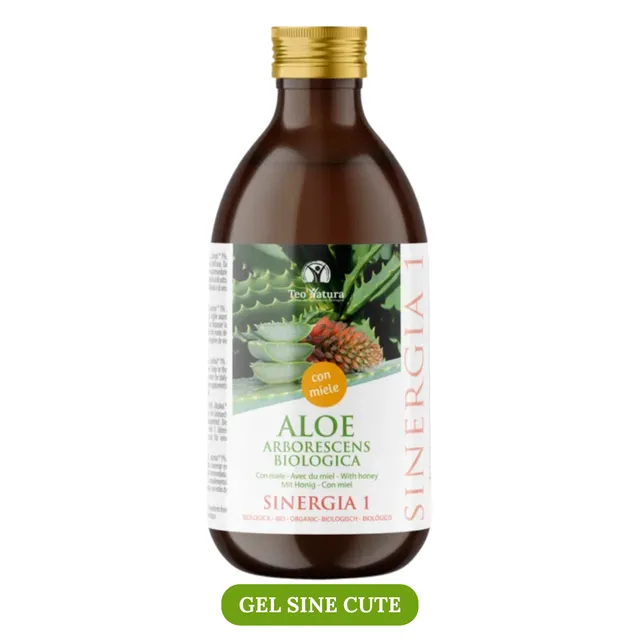 Teo Natura Aloe di Padre Zago Sinergia 1 Gel 500 ml