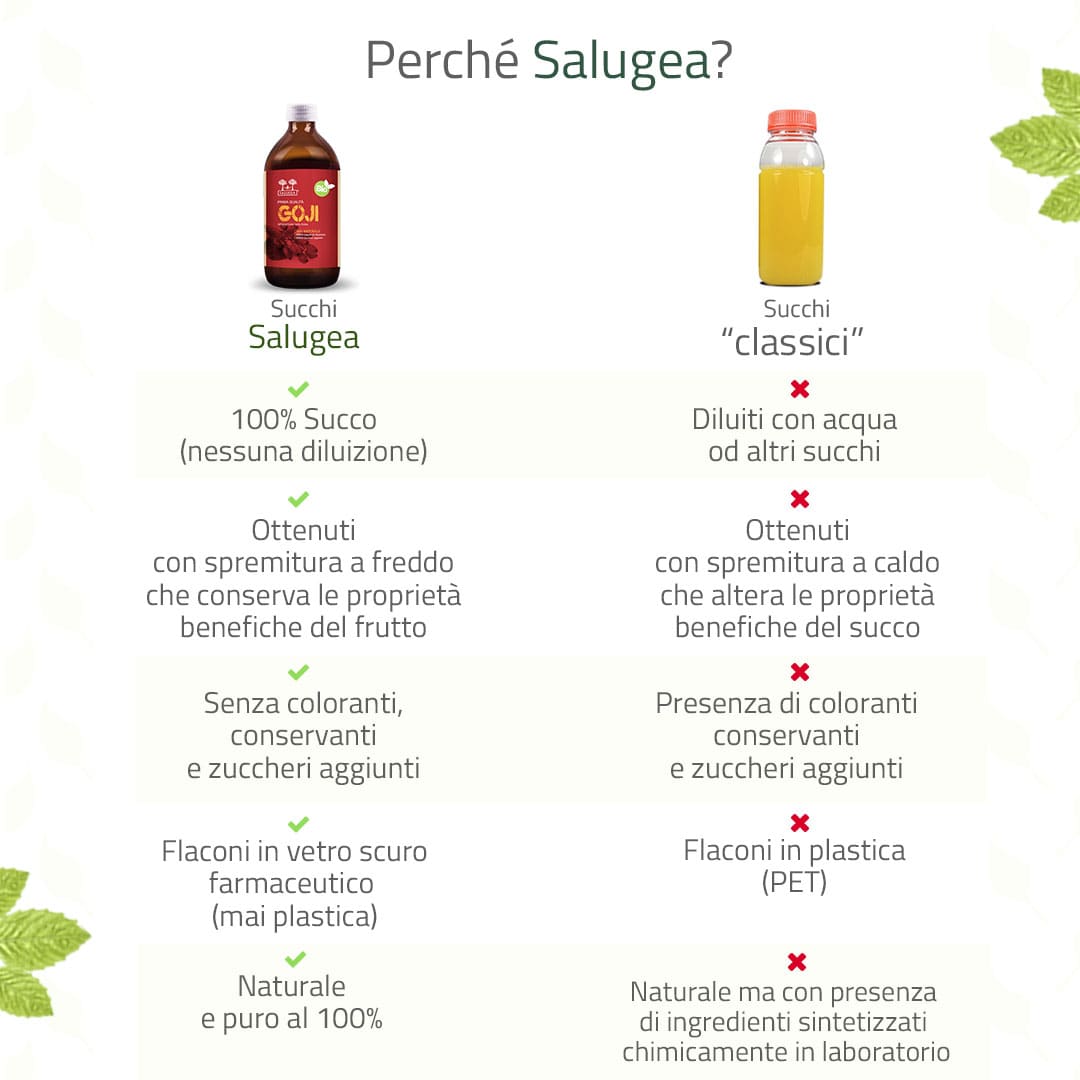 Salugea Succo di Goji Bio Succo 1 Flacone Antiossidante