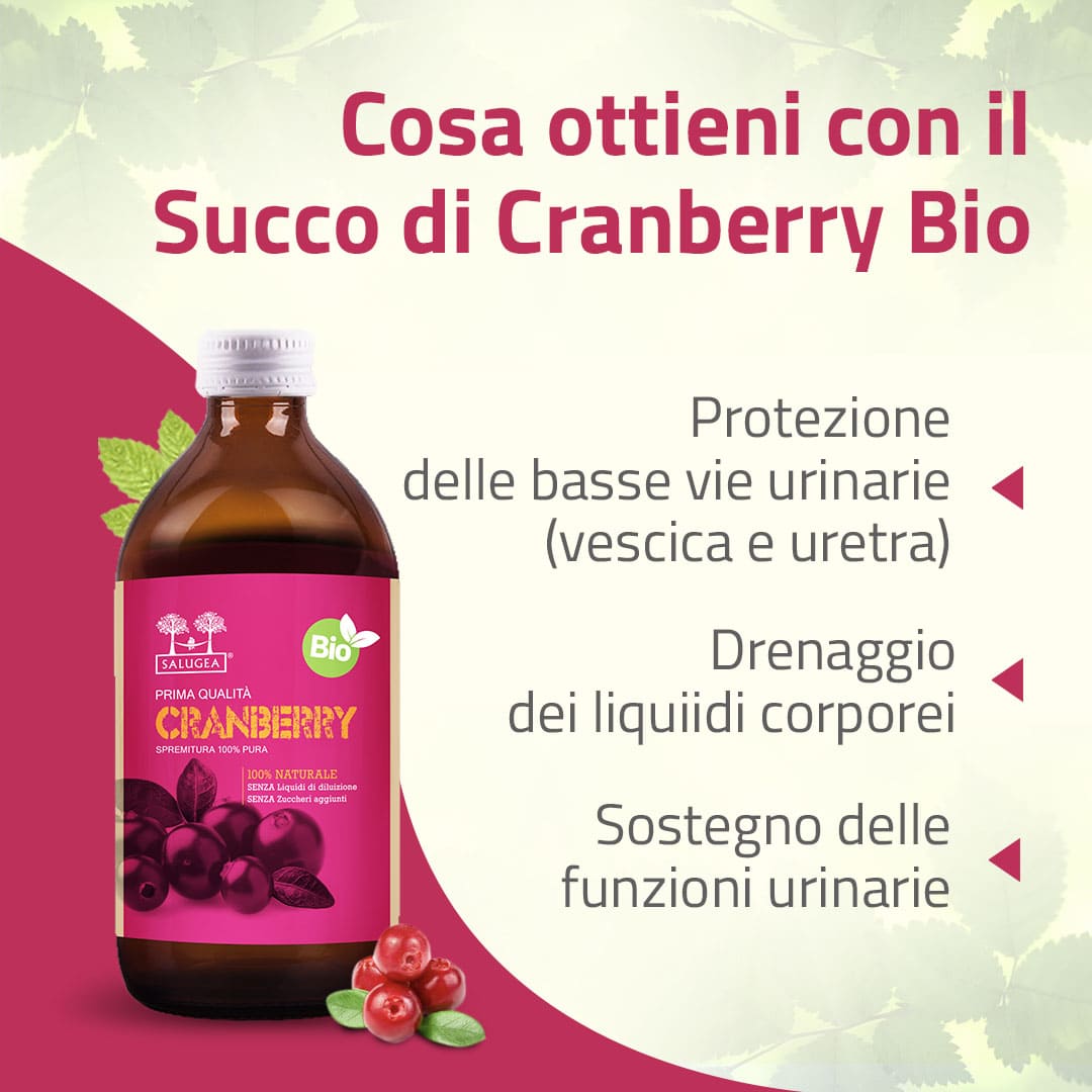 Salugea Succo di Cranberry Bio Succo 1 flacone vie urinarie