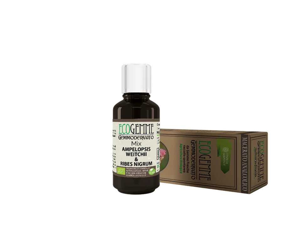L'energia delle piante Ecogemme Bio Mix gocce vite e ribes articolazioni