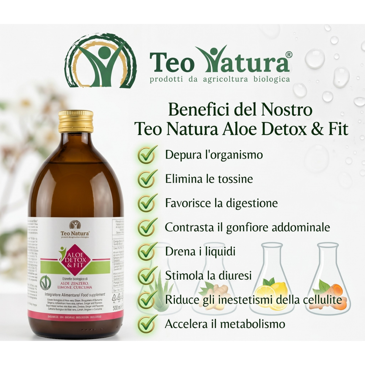 Teo Natura Aloe Arborescens Detox SucCO Aloe Zenzero 30 Giorni