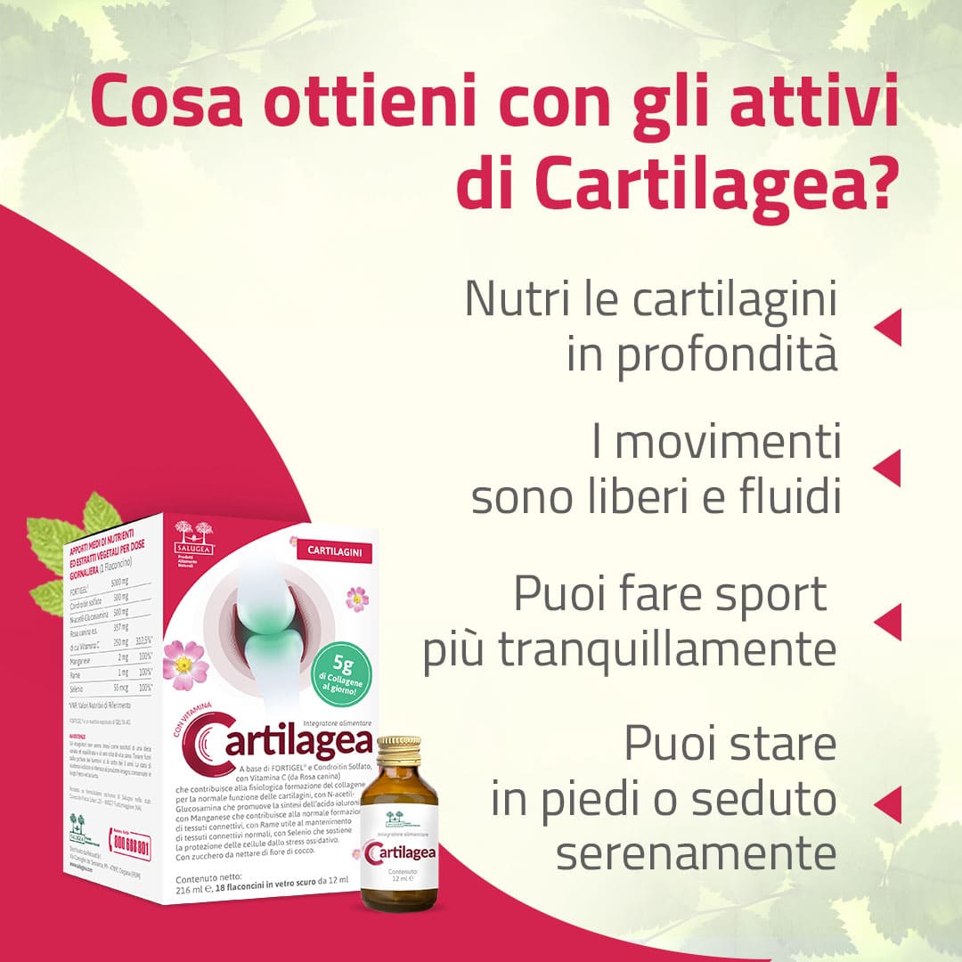 Salugea Cartilagini Tendini Legamenti integratori 3 mesi EPA